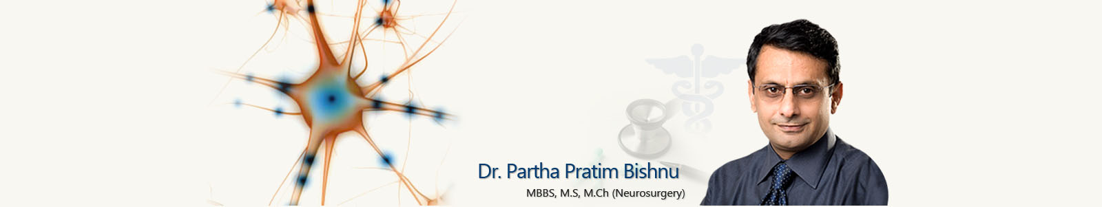 Dr. Partha Pratim Bishnu