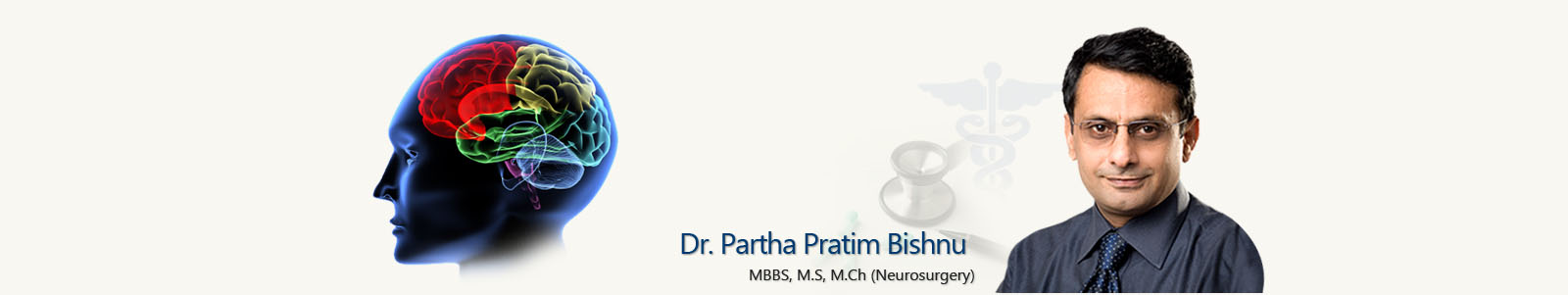 Dr. Partha Pratim Bishnu