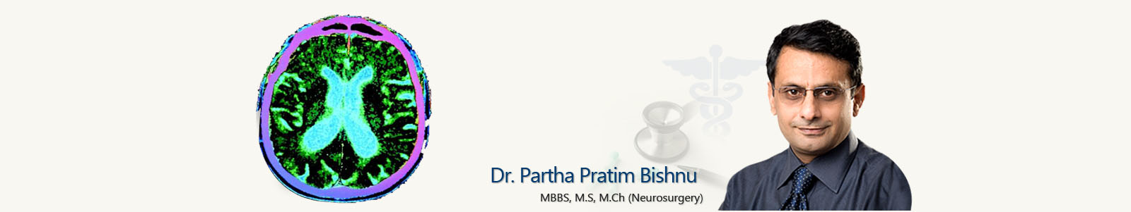 Dr. Partha Pratim Bishnu