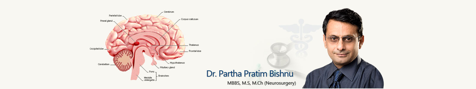 Dr. Partha Pratim Bishnu