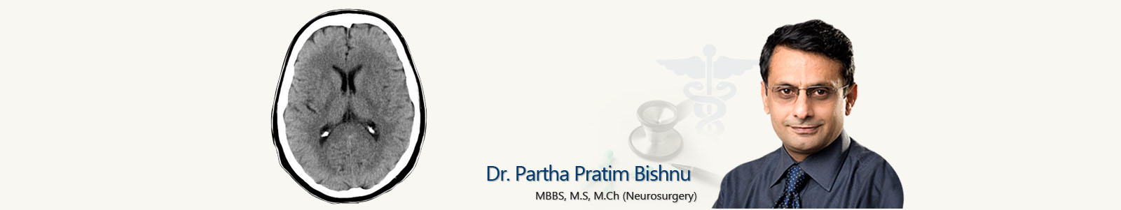 Dr. Partha Pratim Bishnu